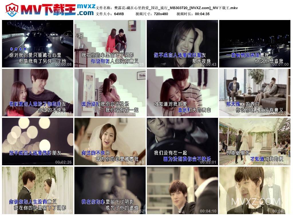 樊露花-藏在心里的爱_国语_流行_MB303720